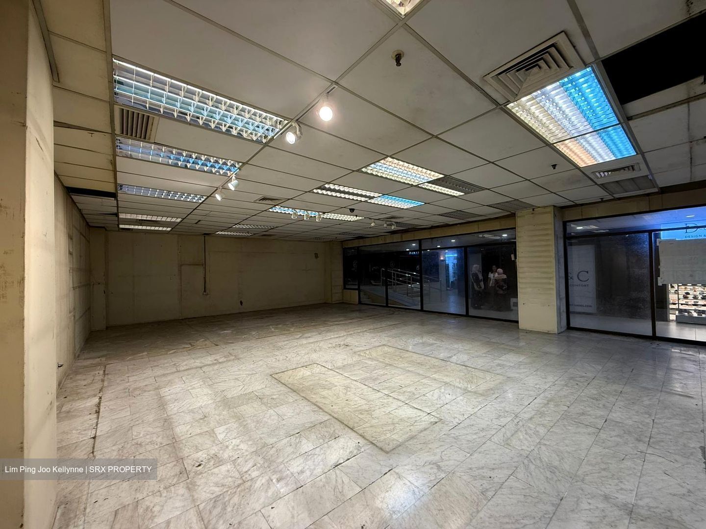 Lucky Plaza (D9), Shop House #442884961